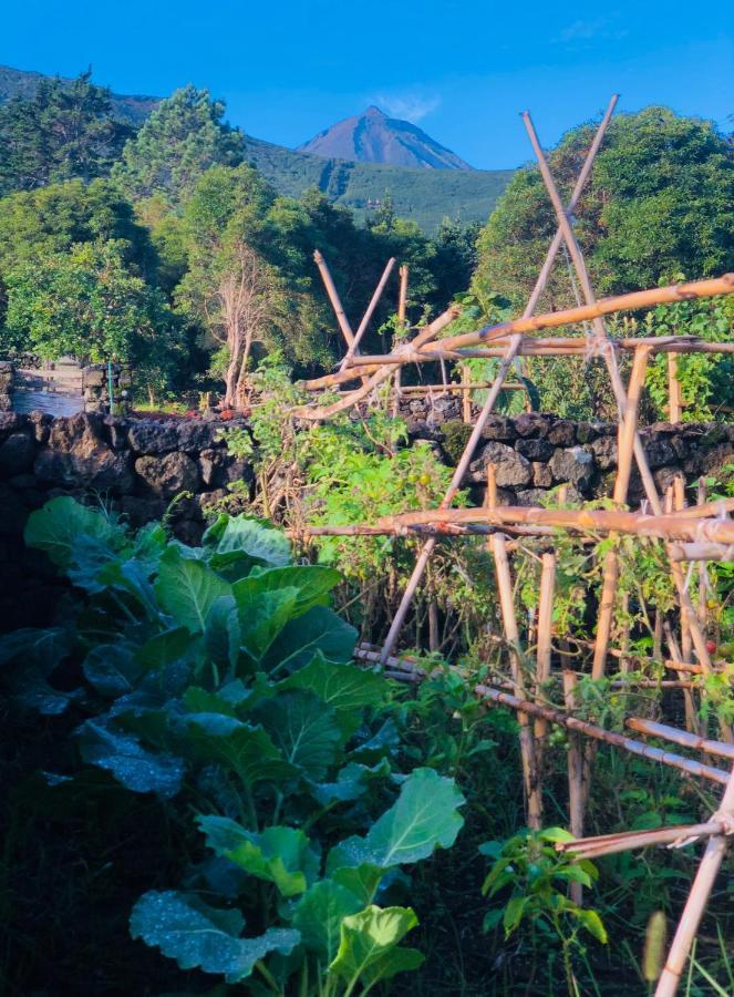 Quinta Pereirinha Farm - A Private 3 Bedroom Vacation Home, Close To Hiking W Ocean Views - Pico Island, Azores เซารอกดูปิโก ภายนอก รูปภาพ