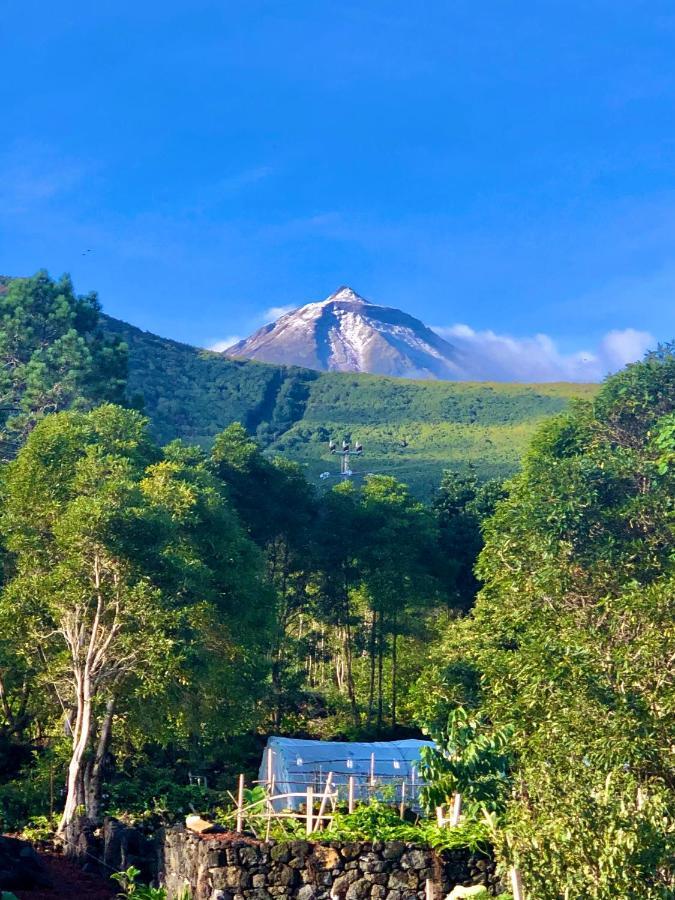 Quinta Pereirinha Farm - A Private 3 Bedroom Vacation Home, Close To Hiking W Ocean Views - Pico Island, Azores เซารอกดูปิโก ภายนอก รูปภาพ